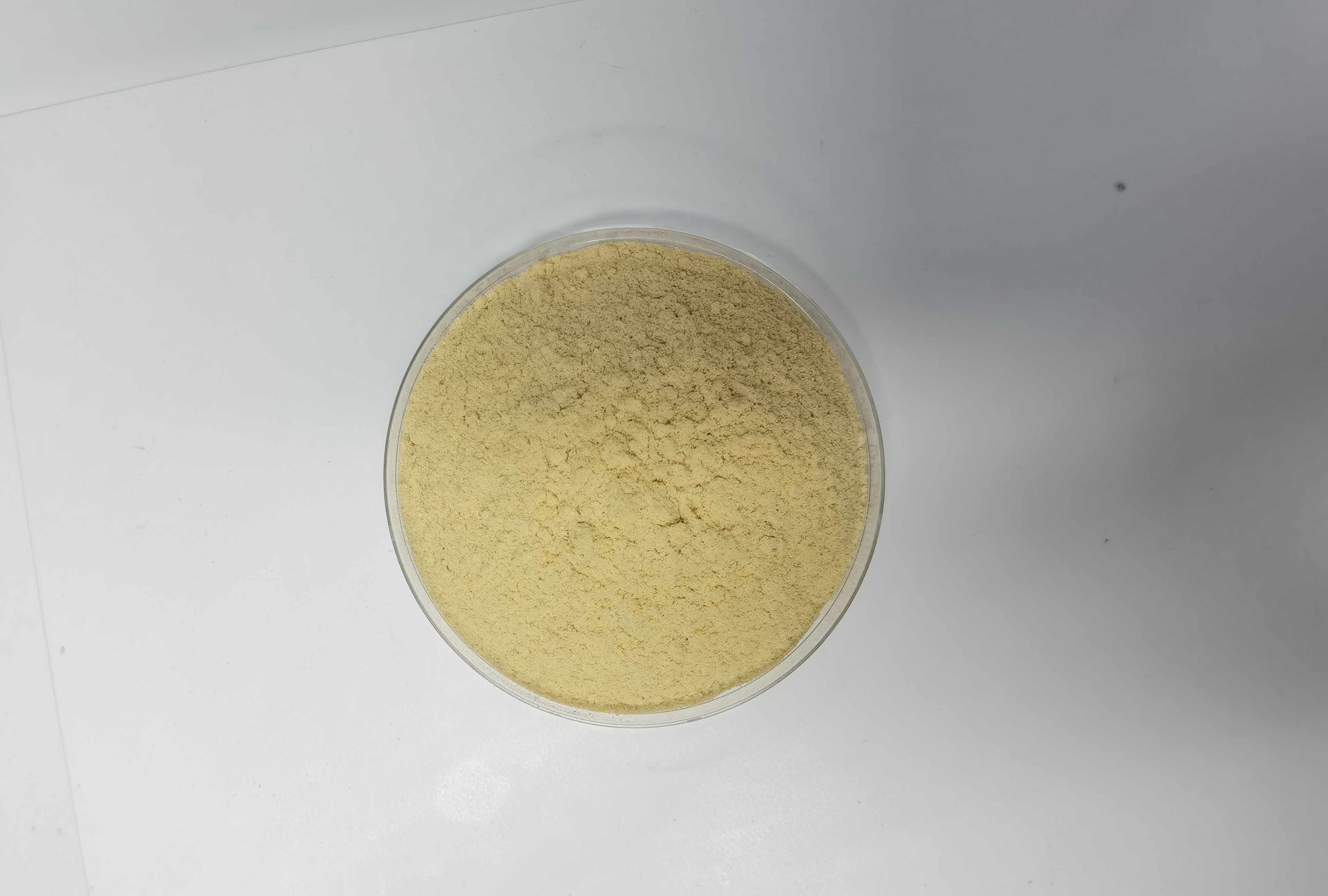 Lycotique white tomato powder in a sample dish